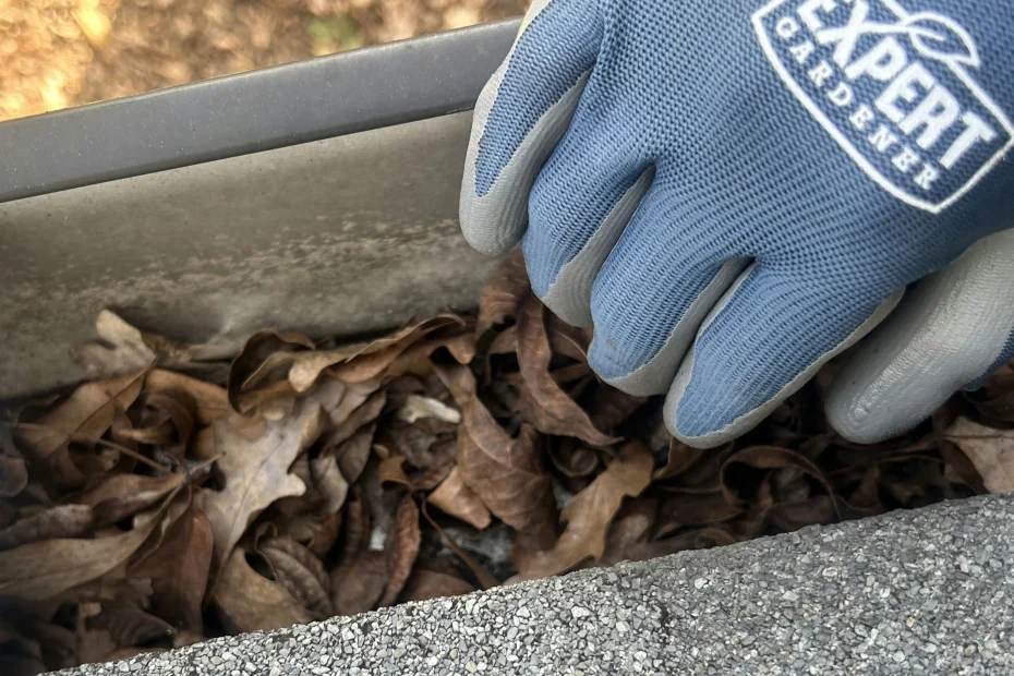 Gutter Cleaning Overland Park, KS