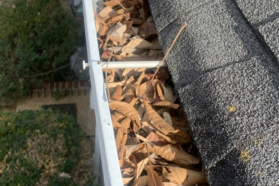 Gutter Cleaning Overland Park, KS