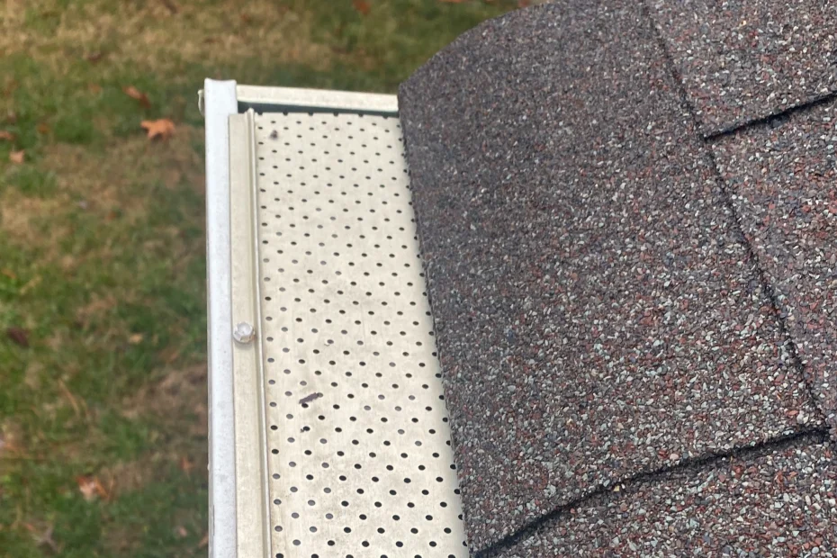 Gutter Cleaning Overland Park, KS