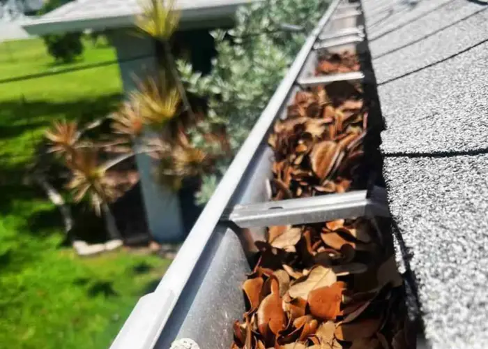 Gutter Cleaning Overland Park, Ks home page